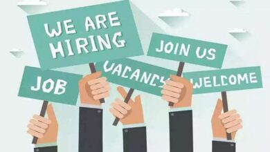 Programme manager job