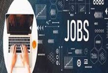 Work with wajer yachts