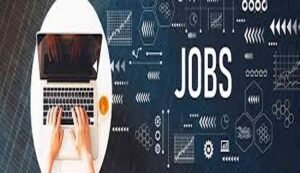 Work with wajer yachts