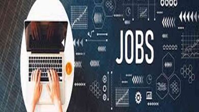 Work with wajer yachts