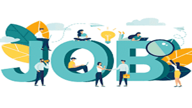 Lead creative partnerships at netflix