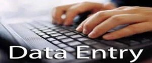Data entry executive