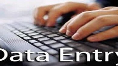 Data entry executive