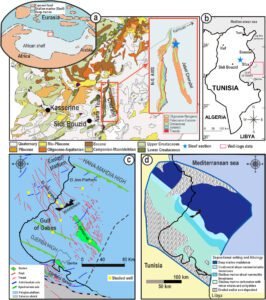 Feart 12 1452977 g001