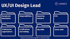 Senior ux/ui lead role