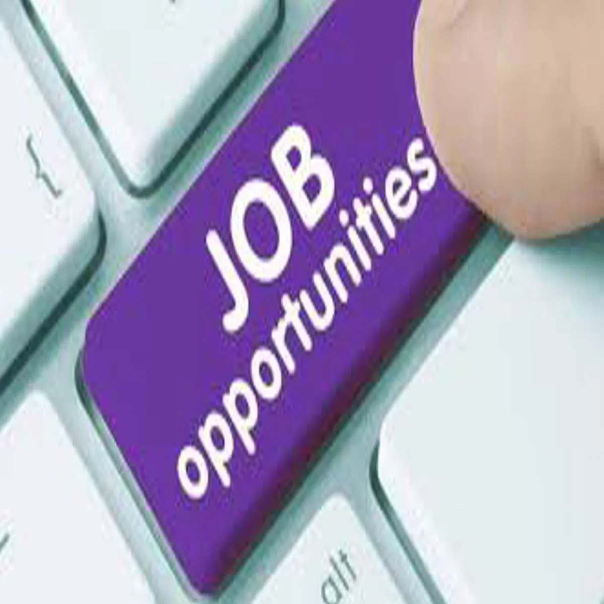 Jobs australia coles supermarkets hiring nightfill