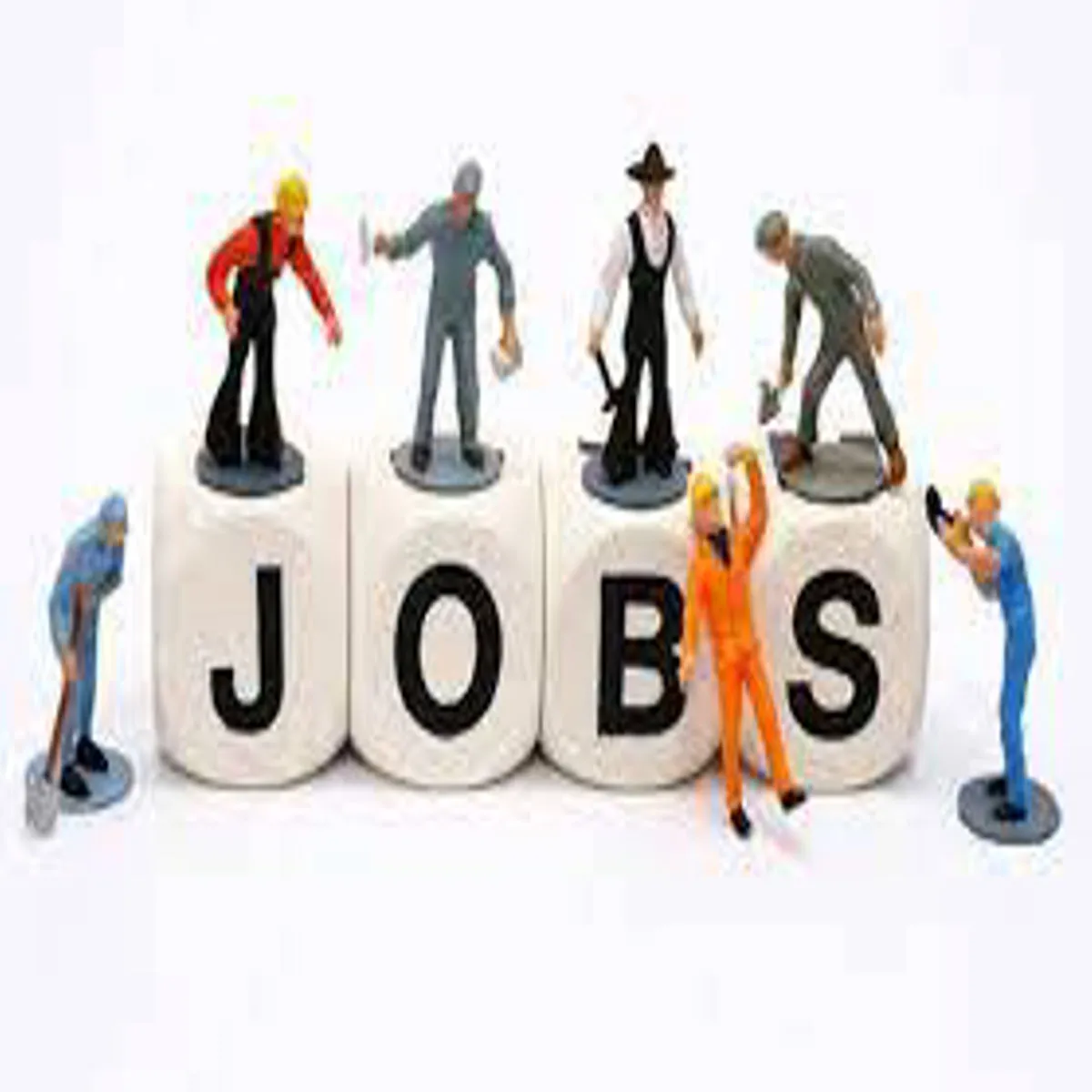 Jobs pets home hiring store colleagues