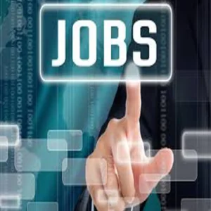 Teamhealth remote scheduler role