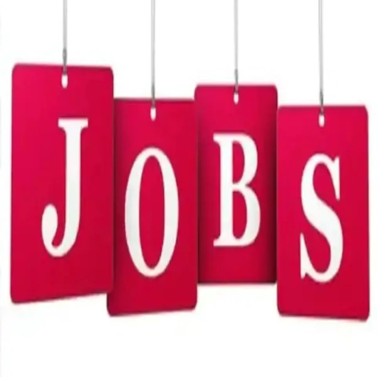 Jobs canada moncton firm hiring office